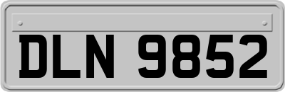 DLN9852