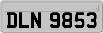 DLN9853