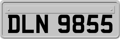 DLN9855