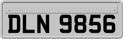 DLN9856