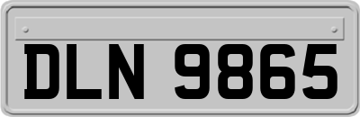 DLN9865