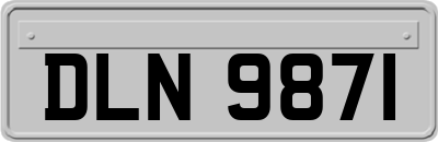 DLN9871