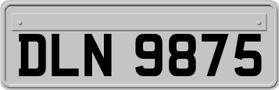 DLN9875