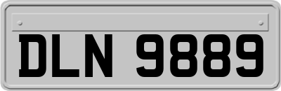 DLN9889