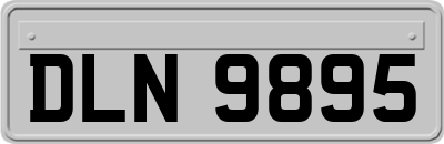 DLN9895