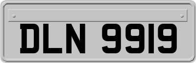 DLN9919