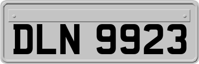 DLN9923