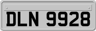 DLN9928