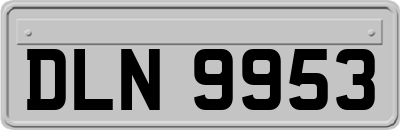 DLN9953