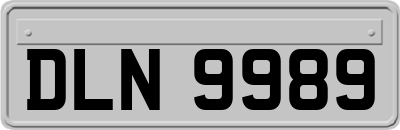 DLN9989