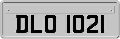 DLO1021