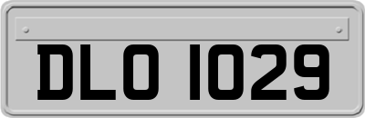 DLO1029