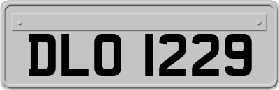 DLO1229