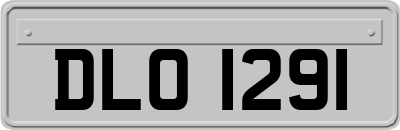 DLO1291