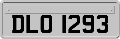DLO1293