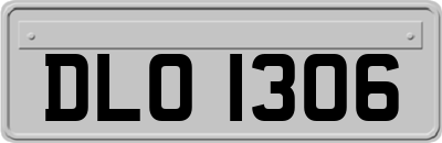 DLO1306