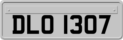 DLO1307