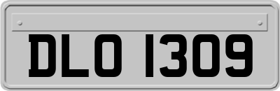 DLO1309