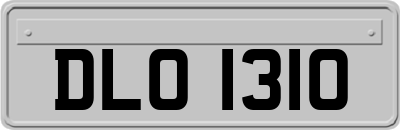 DLO1310