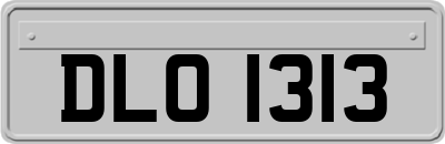DLO1313