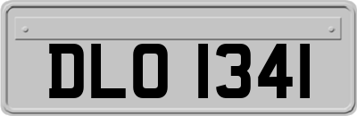 DLO1341