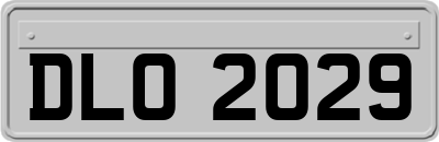 DLO2029