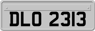 DLO2313