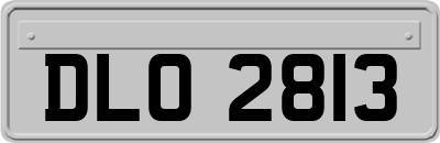 DLO2813