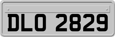 DLO2829