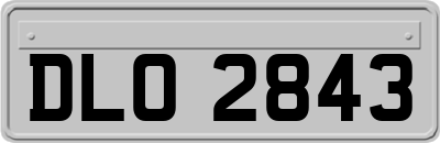 DLO2843
