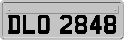 DLO2848