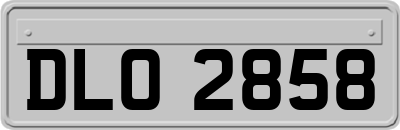 DLO2858