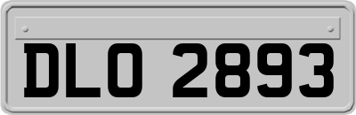 DLO2893