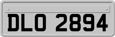 DLO2894