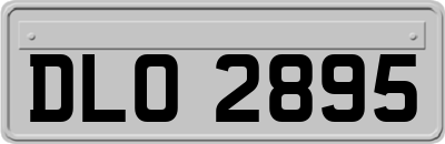 DLO2895
