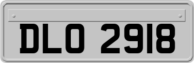 DLO2918