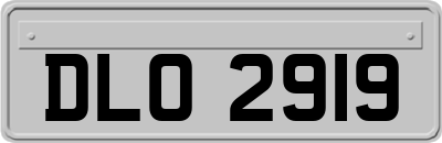 DLO2919
