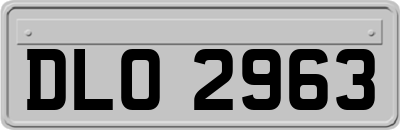 DLO2963