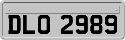 DLO2989