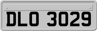 DLO3029