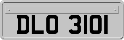 DLO3101