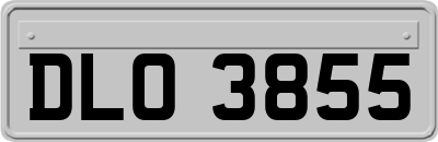 DLO3855
