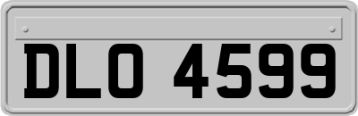 DLO4599