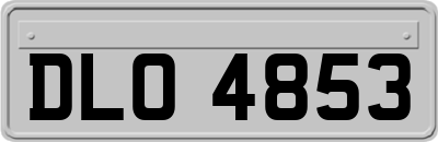 DLO4853