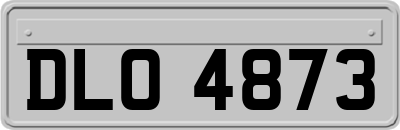 DLO4873