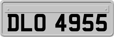 DLO4955