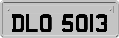 DLO5013