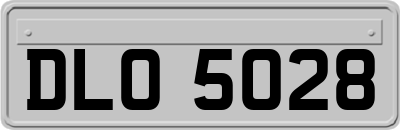 DLO5028
