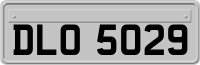 DLO5029