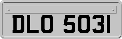 DLO5031